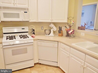 2310 14th St N unit 101, Arlington, VA 22201 - photo 4