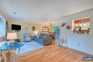 344 Minor Ridge Rd, Charlottesville, VA 22901 - photo 6