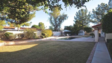Back Yard Grass and landscaping
