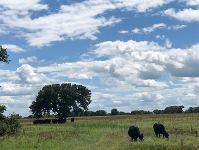 3213 School House Rd, Forestburg, TX 76239 - photo 3