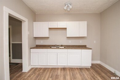 1409 N Mclean St, Lincoln, IL 62656 - photo 7