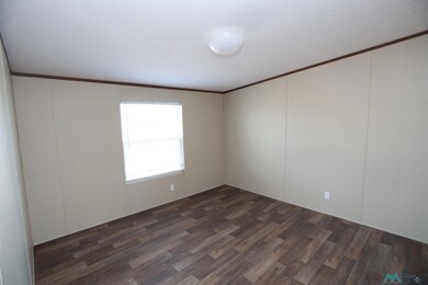 4217 Mimosa St, Carlsbad, NM 88220 - photo 4