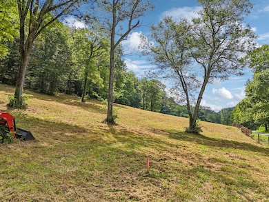 10A Puncheon Camp Ln, Bell Buckle, TN 37020 - photo 3