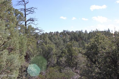 1970 S Pleasant View Dr, Show Low, AZ 85901 - photo 5
