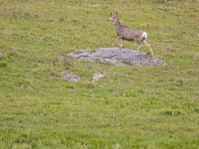 TBD N Fork Rd, Big Sky, MT 59716 - photo 5