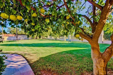 2507 E Emelita Ave, Mesa, AZ 85204 - photo 5