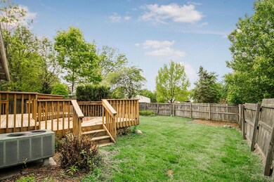 C - 2896 Scotch Pine 091