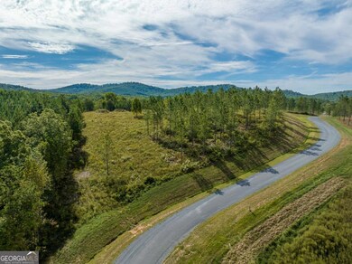 Lot 299 Twisted Oak Rd, Talking Rock, GA 30175 - photo 7