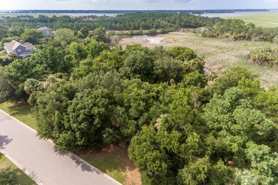 2612 Jenkins Point Rd Seabrook-002-8-DJI