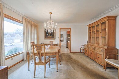 5556 S Tripp Ave, Chicago, IL 60629 - photo 6