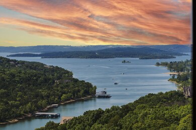 224 David Shawn Dr, Indian Point, MO 65616 - photo 3