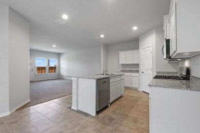 199 Running River Dr, Boyd, TX 76023 - photo 6