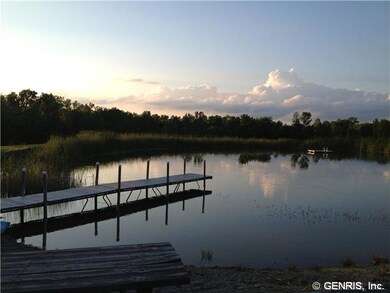 Other Fishing or swimming anyone?
