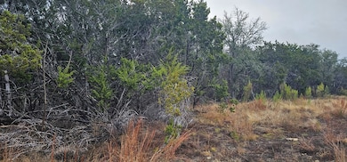 TBD Ropers Ln unit 13, Bandera, TX 78003 - photo 4