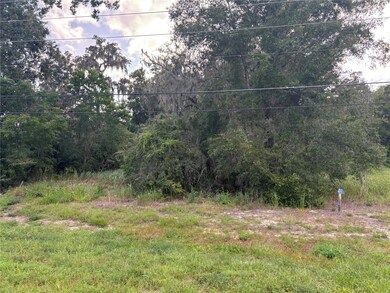 0 S Us Hwy 301 unit MFRA4632821, Belleview, FL 34420 - photo 7