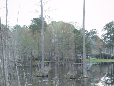 Pond View