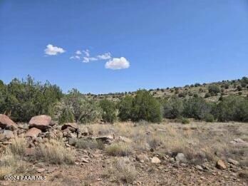 17 Outback Rd, Ash Fork, AZ 86320 - photo 4