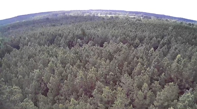 0 Moody Rd, Minden, LA 71055 - photo 4