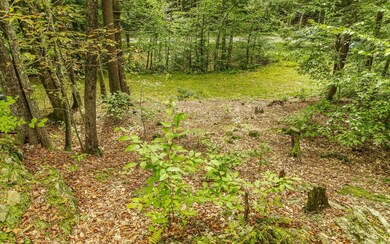 00 Mellish Rd, Alstead, NH 03602 - photo 7