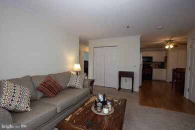 1604 Marion Quimby Dr unit 1604, Stevensville, MD 21666 - photo 3