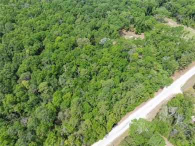 208 Street Suwannee Oaks Dr, O Brien, FL 32071 - photo 4