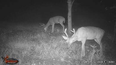 87 New Era Bluff Rd, Linden, TN 37096 - photo 2