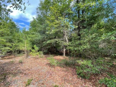 TBD Rivers Hill Rd unit B1, Varnville, SC 29944 - photo 5