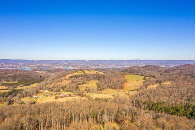 2444 Holder Dr Aerial View 3