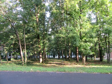 158 Dudala Way, Loudon, TN 37774 - photo 2