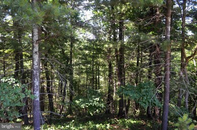 211 Tabasco Ln, Hedgesville, WV 25427 - photo 4