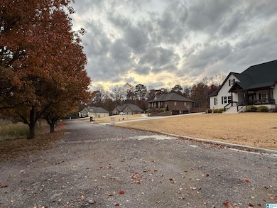 3 Springs Cove Rd, Warrior, AL 35180 - photo 6