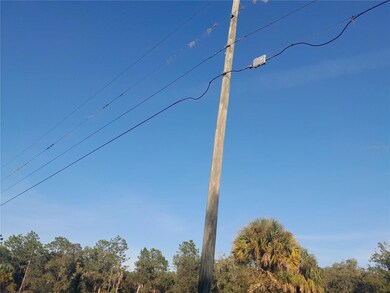 tbd SE 110th Ave, Inglis, FL 34449 - photo 5