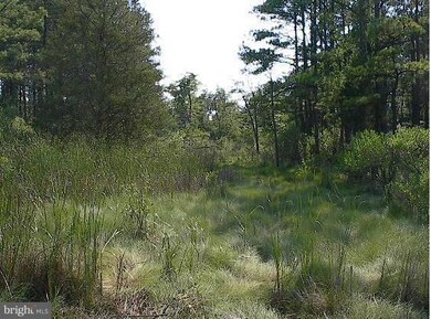 0 Kirwans Neck Rd, 5, Lakes, MD - photo 5