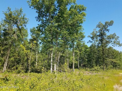 81 acres cromartie rd 2