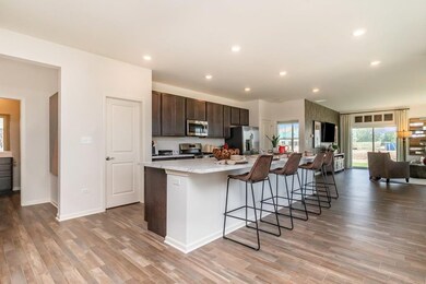 14516 Clover Ave, Cedar Lake, IN 46303 - photo 5