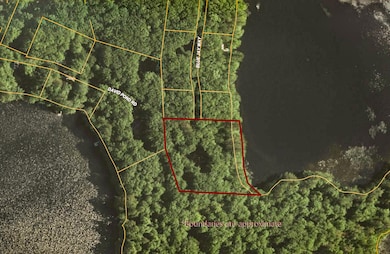 TBD Blue Jay Way, Fayette, ME 04349 - photo 6