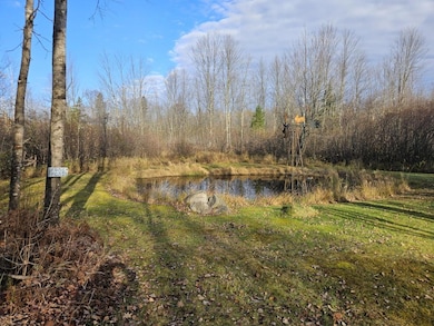 W8920 County Rd S, Phillips, WI 54555 - photo 3