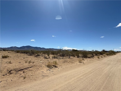 15032 Cedar Rd, Dolan Springs, AZ 86441 - photo 3