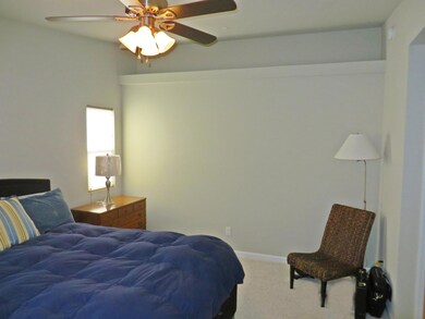 Master w/ Vaulted Ceilings