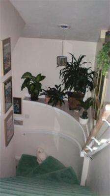 241 Algonquin Trail, Ashland, MA 01721 - photo 3