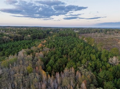 640 County Road 4910, Troup, TX 75789 - photo 6