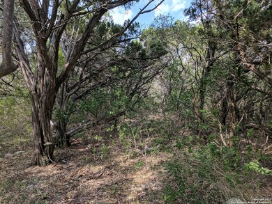 17003 Clovis, Helotes, TX 78023 - photo 7