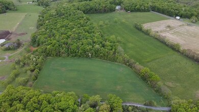 TBD Land Grant Rd, Mount Jackson, VA 22842 - photo 7