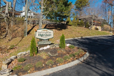 1380 Ski View Dr unit 3301, Gatlinburg, TN 37738 - photo 7