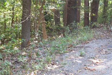 6 Earby Ln, Bella Vista, AR 72714 - photo 4