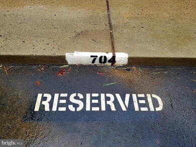 Chestnut Grove Condominiums unit 11256-244, Reston, VA 20190 - photo 3