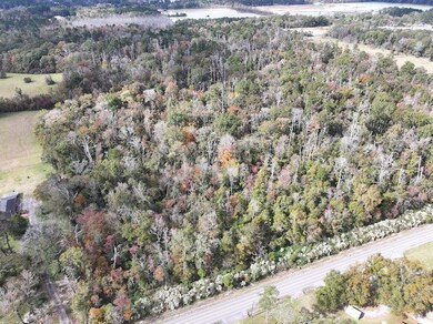 0 Dunn Rd unit LotWP001, Denham Springs, LA 70726 - photo 7