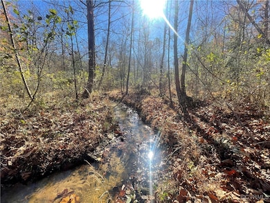 Crystal clear Creek at the back of the property