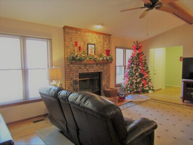 IMG_0003 - Copy