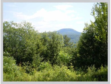 #20 Ski Lift Ln, Plymouth, NH 03264 - photo 4